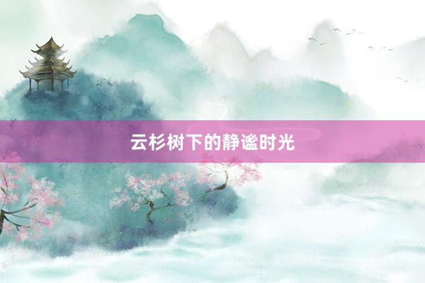 云杉树下的静谧时光