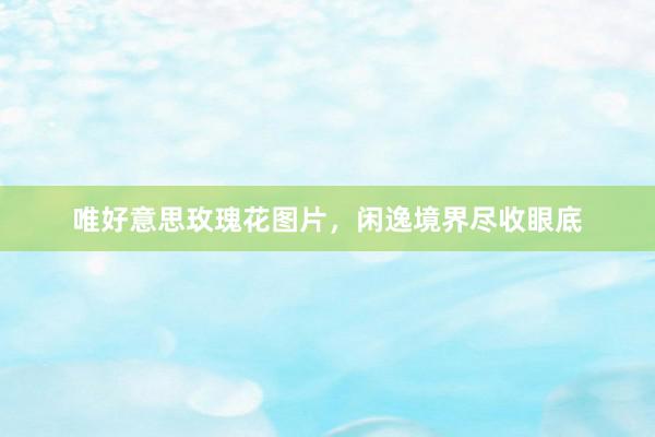 唯好意思玫瑰花图片，闲逸境界尽收眼底
