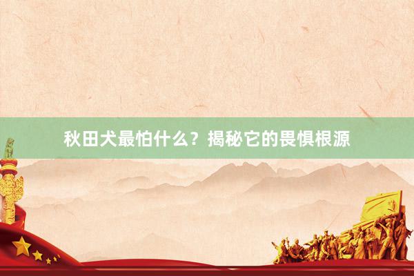 秋田犬最怕什么？揭秘它的畏惧根源